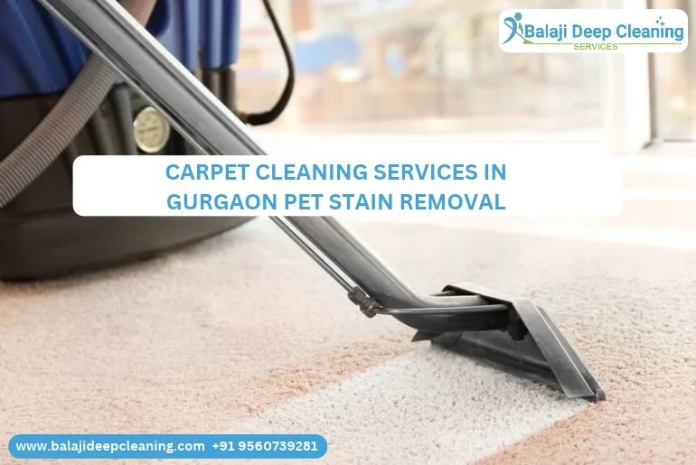 Carpet Cleaning Services